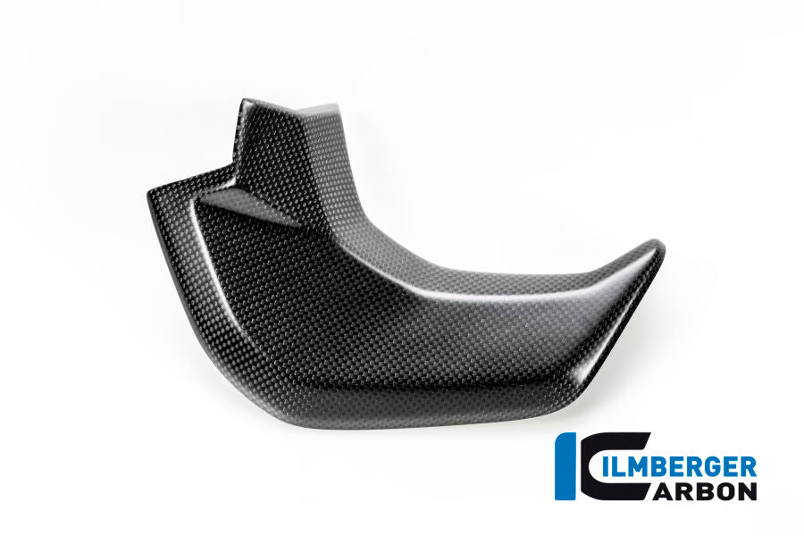 Binnenkuip links mat carbon Ducati Multistrada 950 (2019-2021)