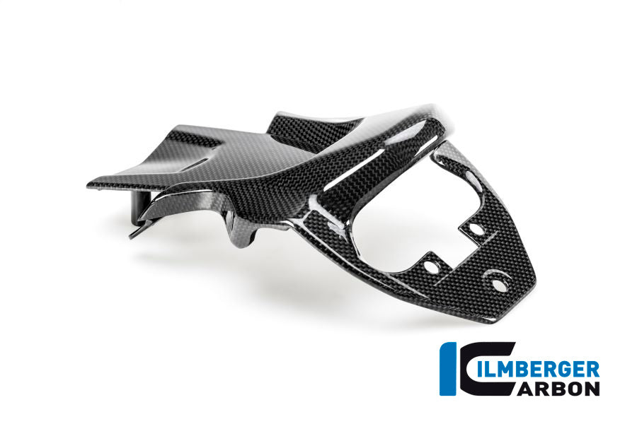 Kentekenplaathouder cover glanzend carbon Ducati Multistrada Enduro 1260 (2019-2021)