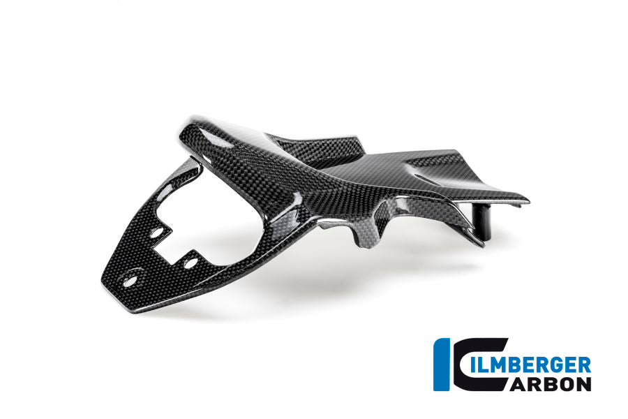 Kentekenplaathouder cover glanzend carbon Ducati Multistrada 950 (2019-2021)
