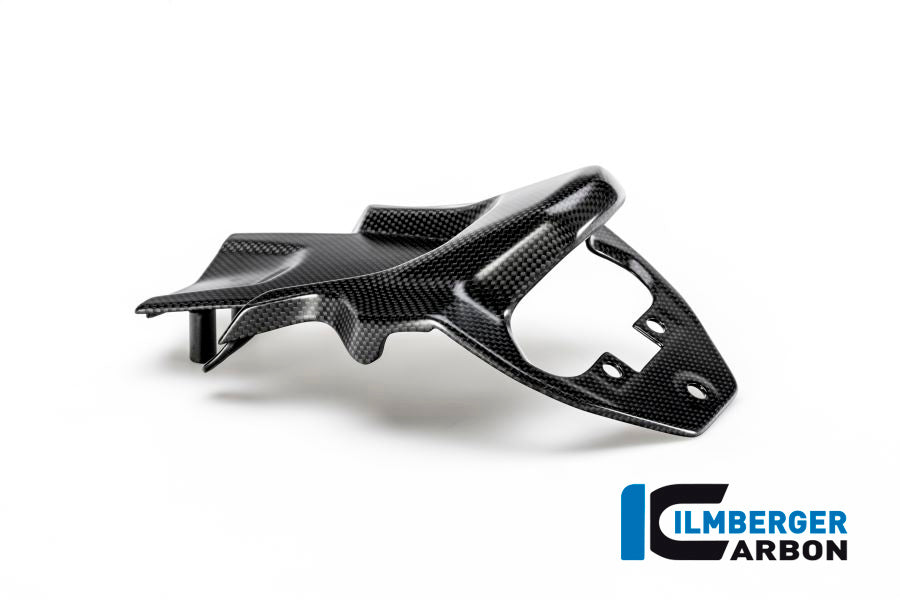 Kentekenplaathouder cover mat carbon Ducati Multistrada 950S (2019-2021)