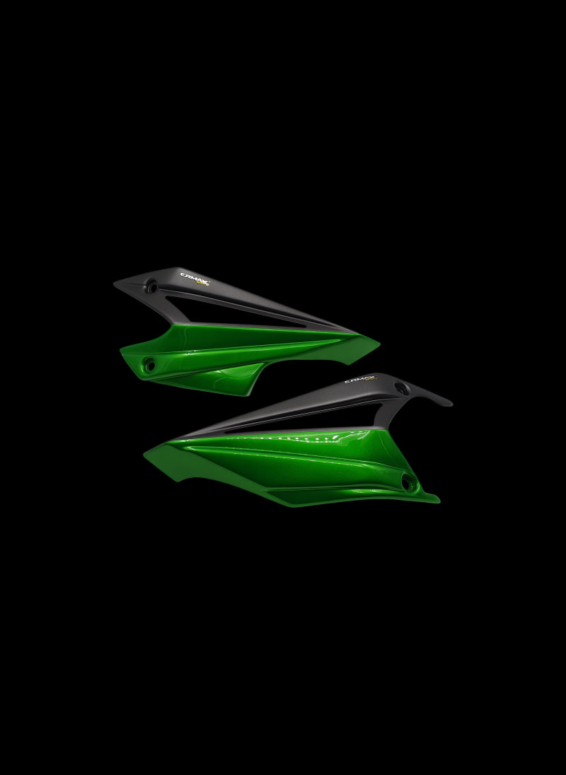 Ermax bellypan (motorspoiler) Kawasaki Kawasaki Z1100 (2026+)