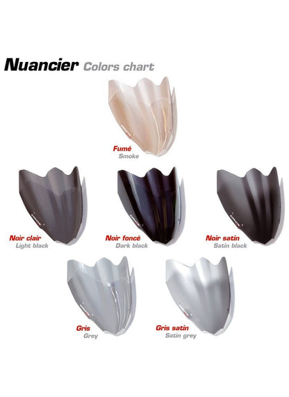 Ermax screen Aeromax for S1000RR 2015-