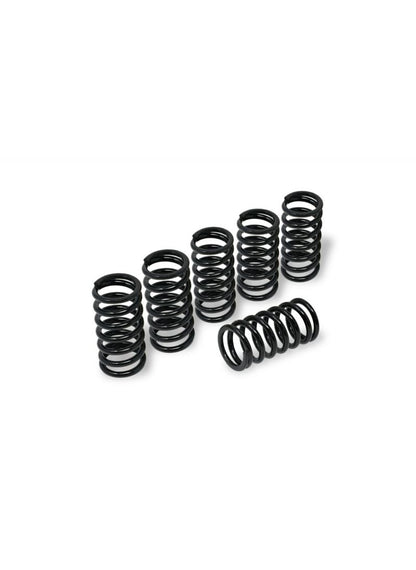 Clutch Spring Kit H38 Ducati Monster S4RS (2006-2009)