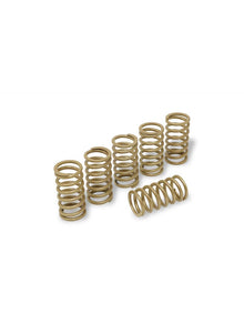 Clutch Spring Kit H38 Ducati 888 SP (1992-1994)