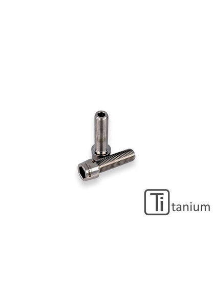 CNC Heck-Hub-Schwingung Pinch Bolt (2 Stcs.) Ducati Panigale 1199 Tricolore S (2012-2015)