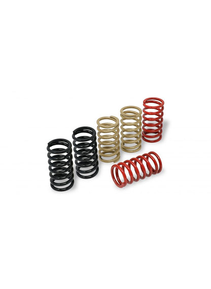 Clutch Springs MV Agusta Brutale 750S (2021+)