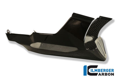 Motor spoiler (bellypan) Short Carbon R1200R BMW R 850 R (1995-2001)