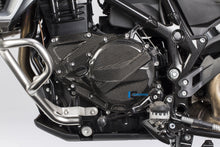 Ignition Housing Cover Carbon F700GS BMW F 700 GS (2013-2017)