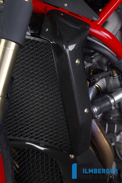 Kühlerabdeckungen (Set) Carbon MV Agusta Brutale 910 R (2005-2011)