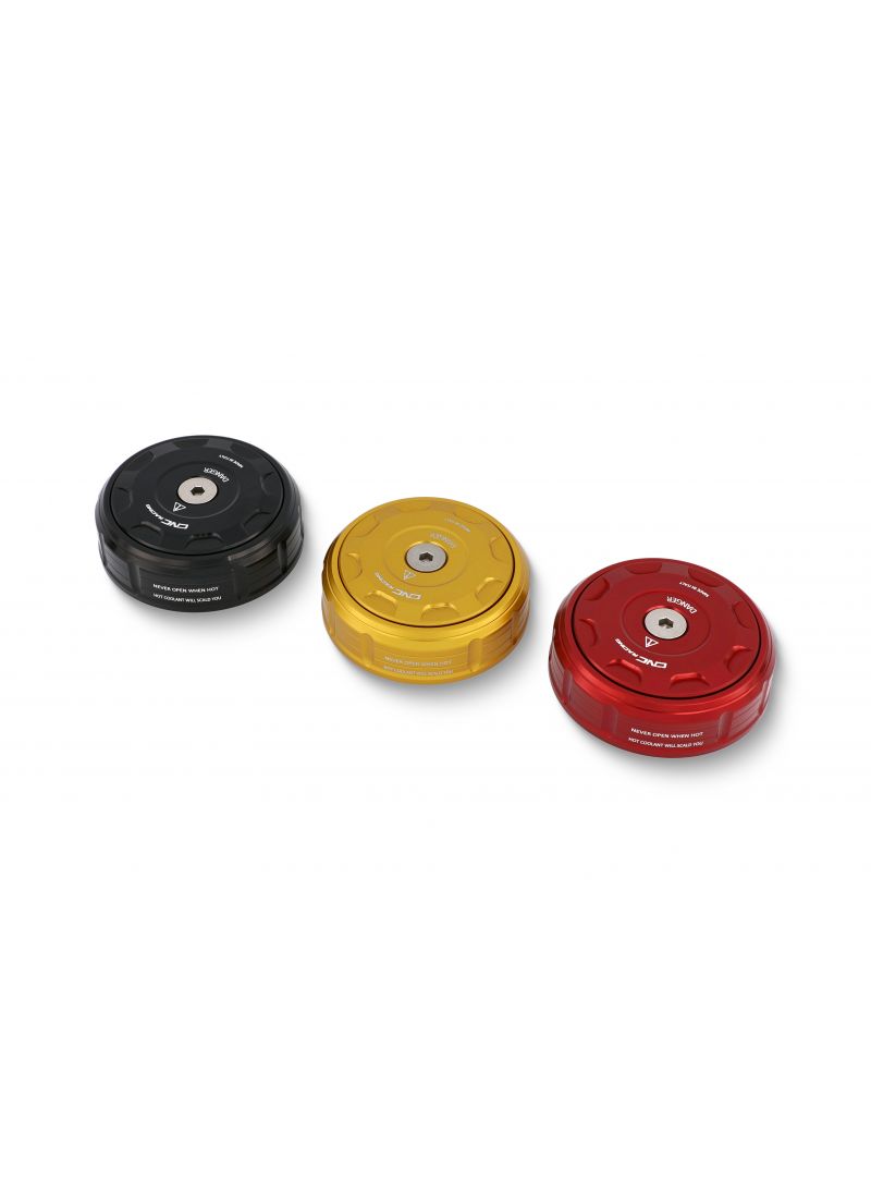 Radiator Cap Ducati Monster 821 1200 1200R Ducati Monster 1200 25 Anniversario (2020)