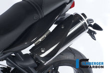 Exhaust Cover Links Carbon Triumph Street Triple (2013-2016)