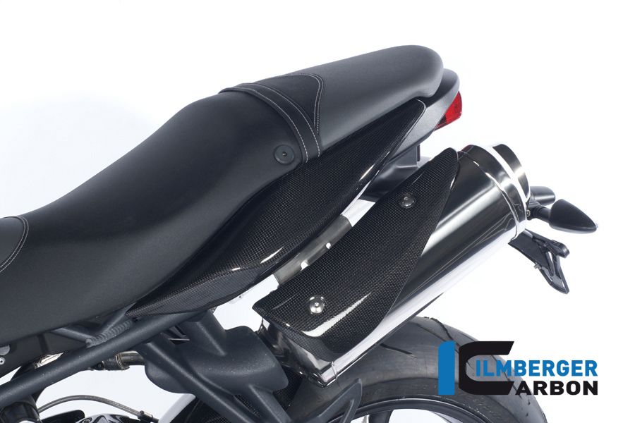 Avgasskyddslänkar Carbon Triumph Street Triple R (2013-2016)