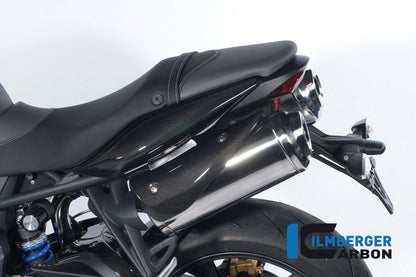 Avgasskyddslänkar Carbon Triumph Street Triple R (2013-2016)