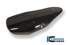Abgasabdeckung verknüpft Carbon Triumph Speed ​​Triple (2011-2015)
