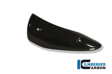 Exhaust Cover Links Carbon Triumph Street Triple 675 (2007-2012)