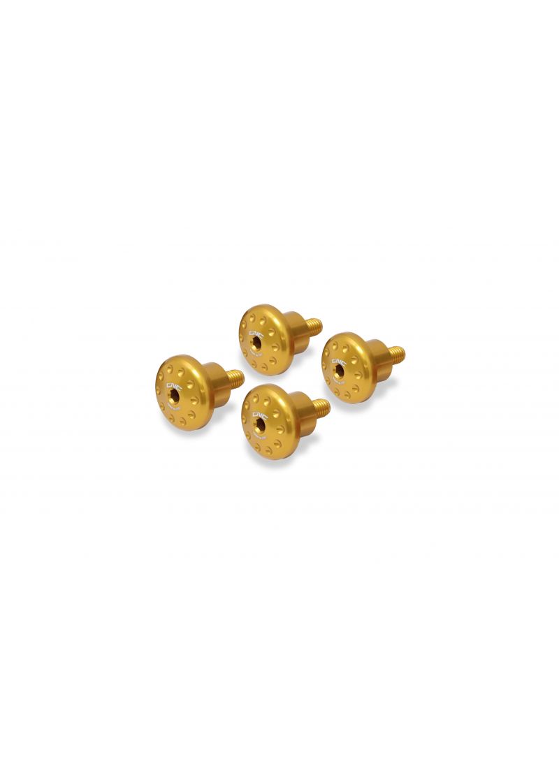 Windshield Bolt Kit (4 st.)- Multistrada 1200 2013- Pikes Peak Ducati Multistrada 1200 S Touring (2010-2014)
