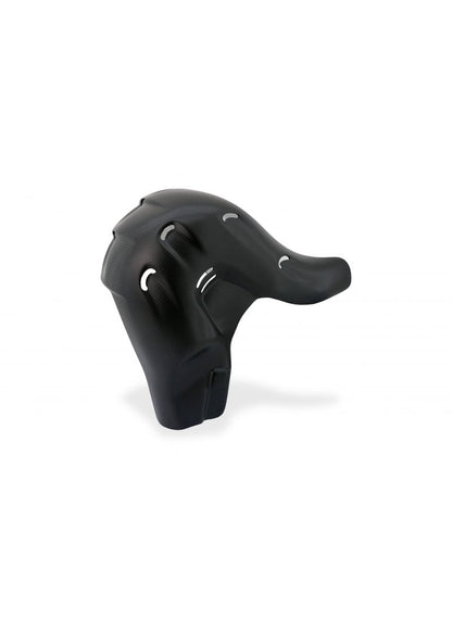 Euro5 Exhaust Heat Guard Carbon Ducati Streetfighter V4 Ducati Streetfighter V4 (2020-2022)