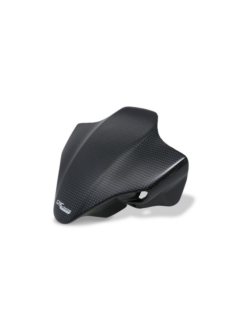 Flyscreen Carbon Ducati Streetfighter V4 (2023-2024)